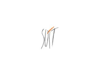 suitnegozi