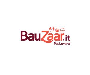 Bauzaar